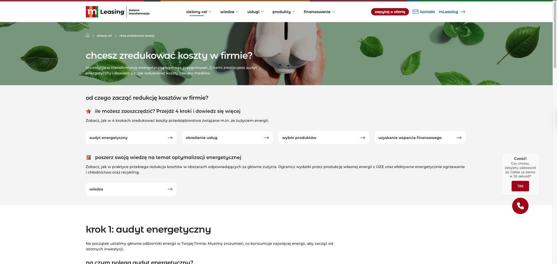 The cost-reduction goal page — "chcesz zredukować koszty w firmie?" — showing the four-step path and the knowledge gateway below it